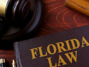 Florida Laws And Rules Of Nursing
